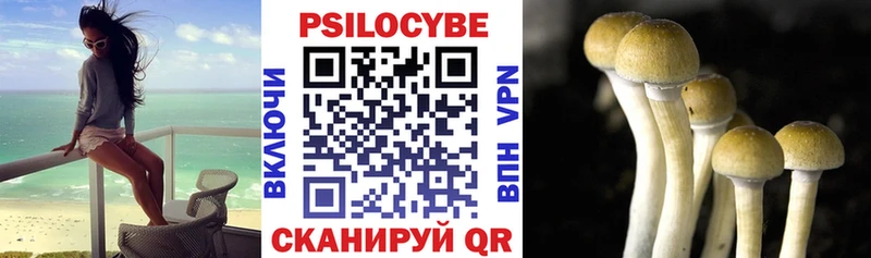 Псилоцибиновые грибы прущие грибы Удомля