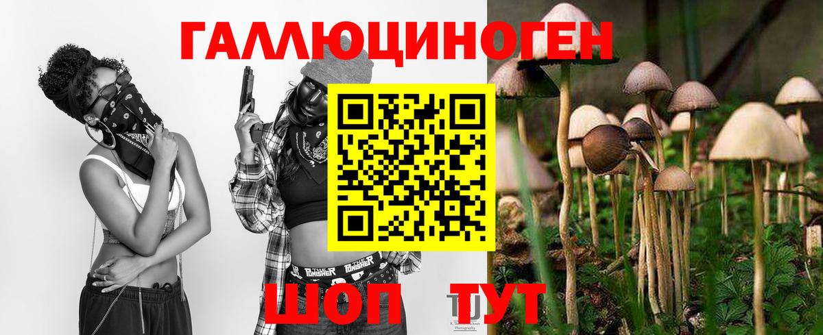 Галлюциногенные грибы мухоморы Удомля