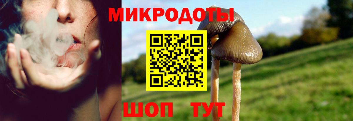 Галлюциногенные грибы мухоморы  Вход с VPN  Удомля 